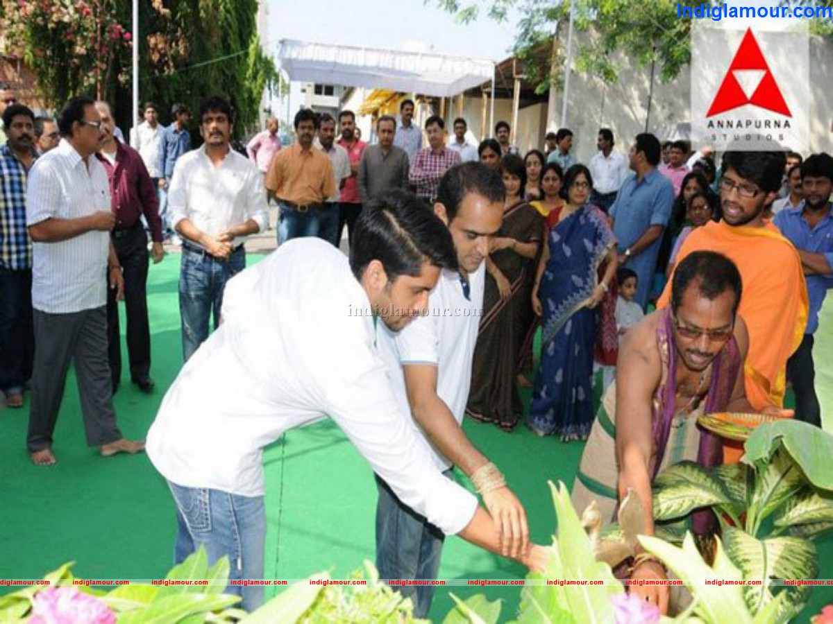 Manam Movie Opening Event hd photo
