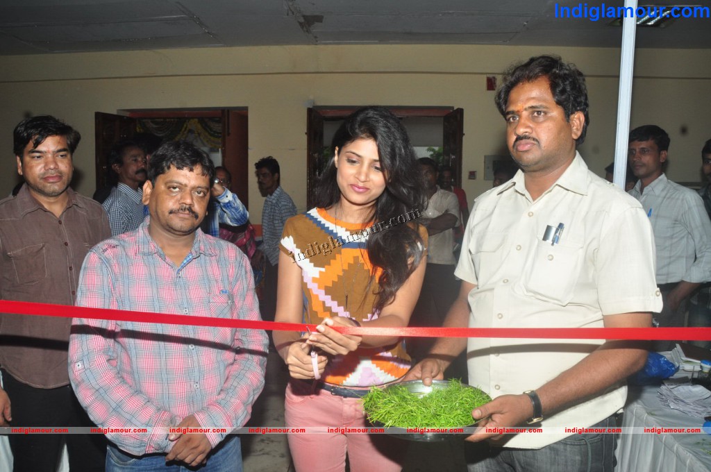 Slik of India Exhibition Launch Event hd photo