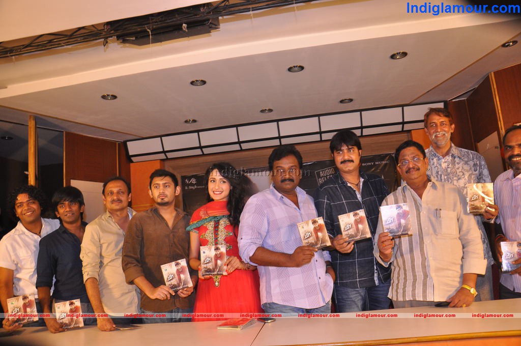 Dega Movie Audio Launch Event hd photo