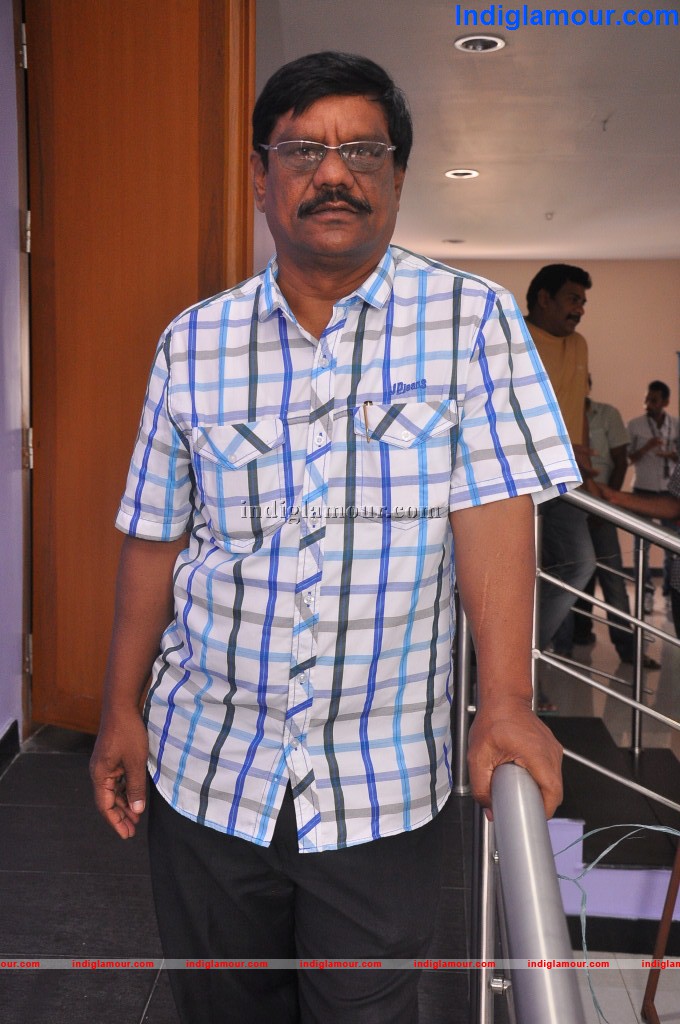 Saradaga Ammayitho Success Meet Event hd photo