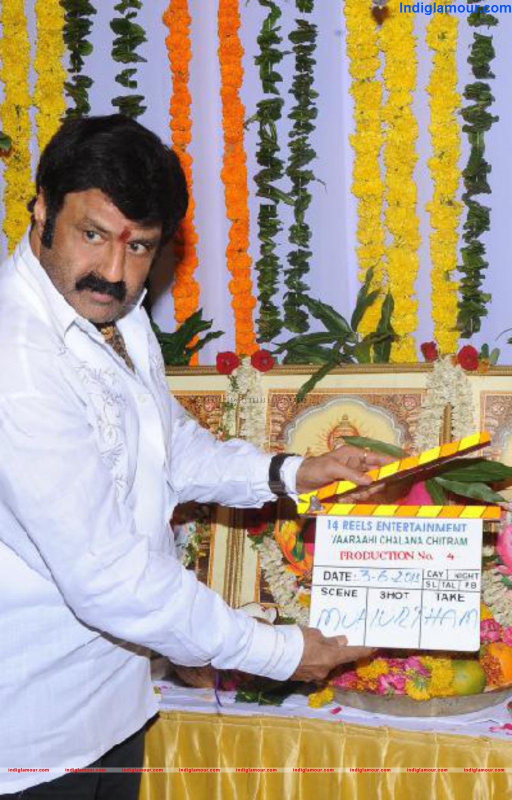 Balakrishna N Boyapati Srinu Movie Opening Event hd photo