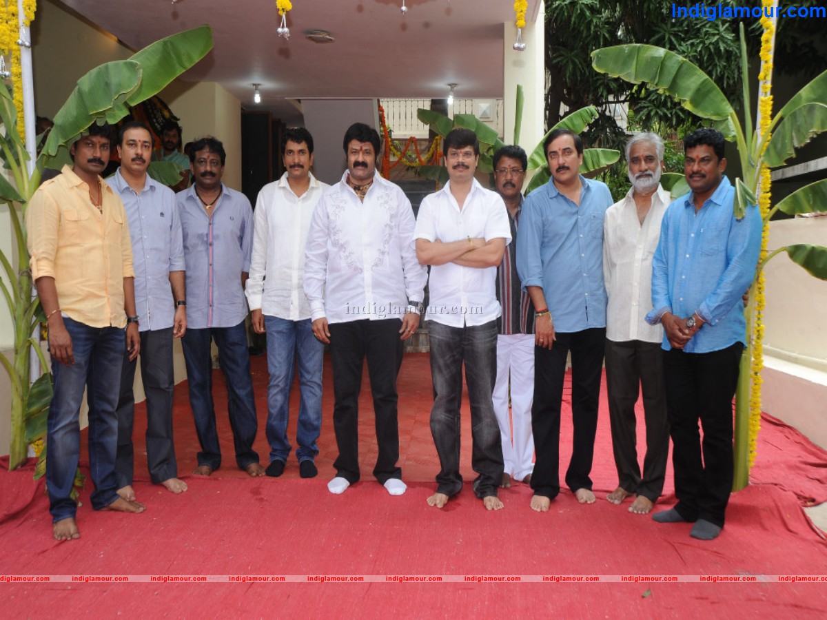 Balakrishna N Boyapati Srinu Movie Opening Event hd photo