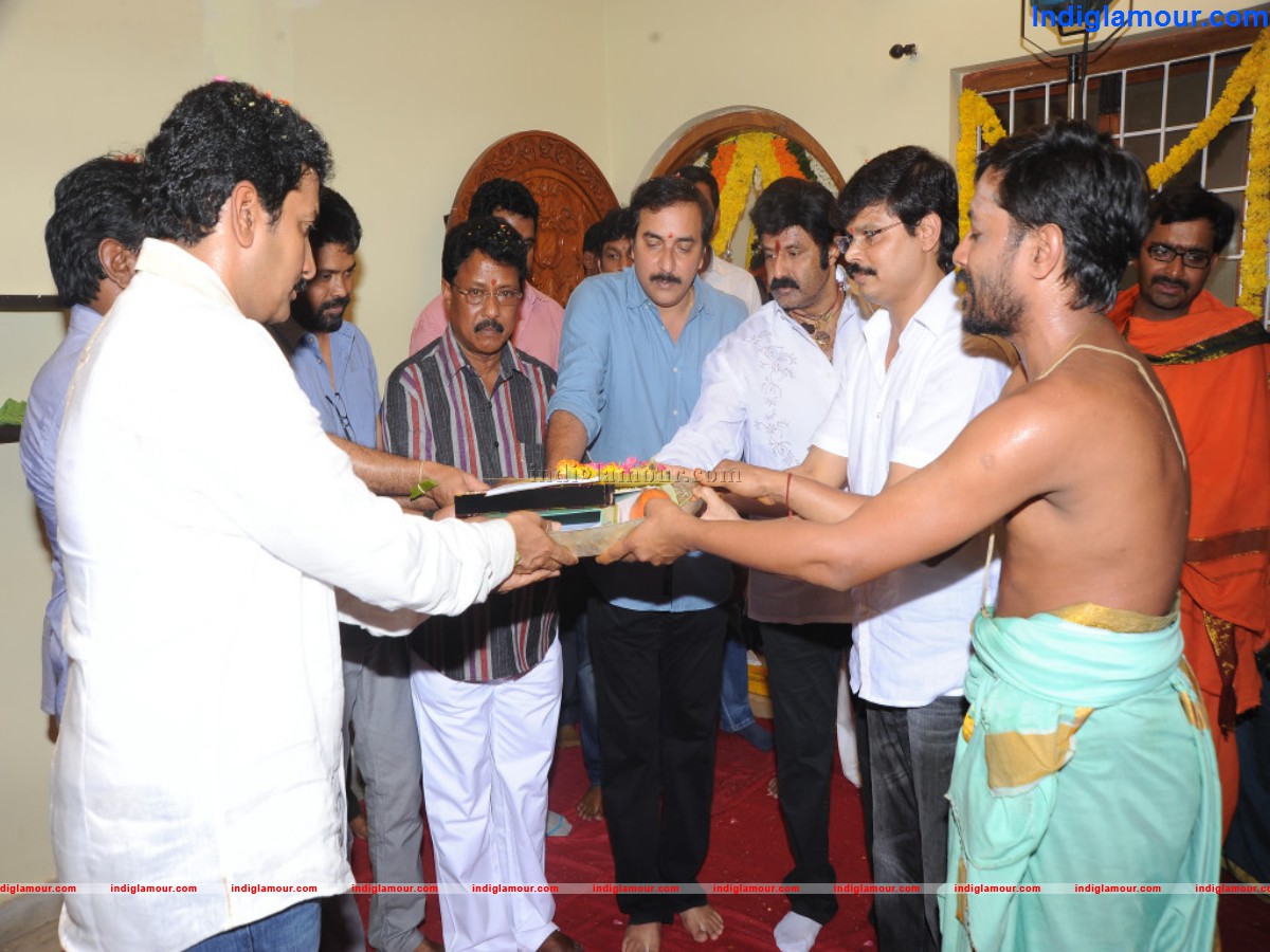 Balakrishna N Boyapati Srinu Movie Opening Event hd photo