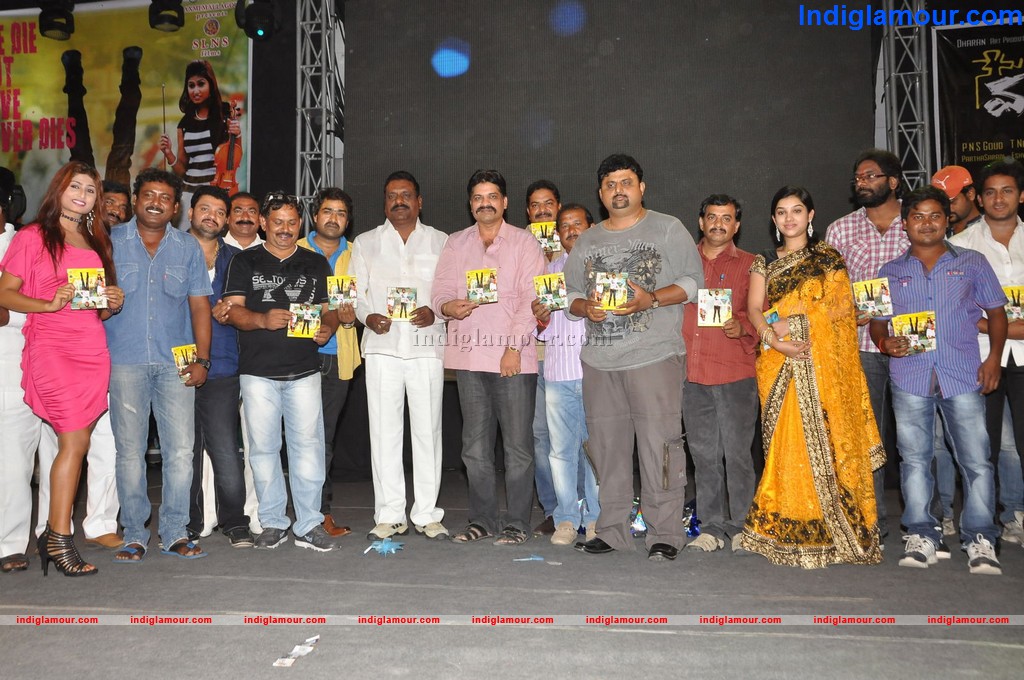 Nenu Chala Worst Audio Launch Event hd photo