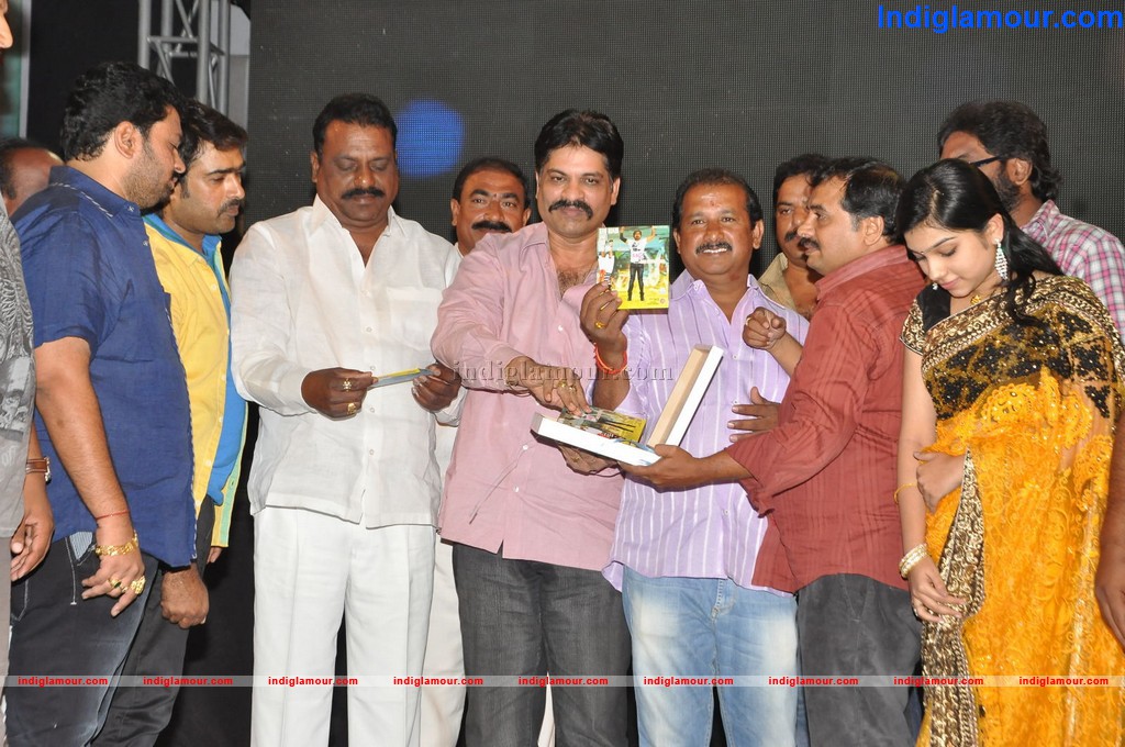 Nenu Chala Worst Audio Launch Event hd photo
