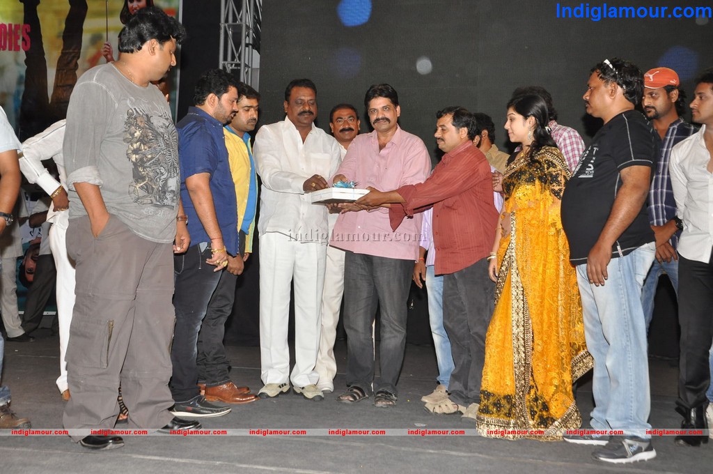 Nenu Chala Worst Audio Launch Event hd photo
