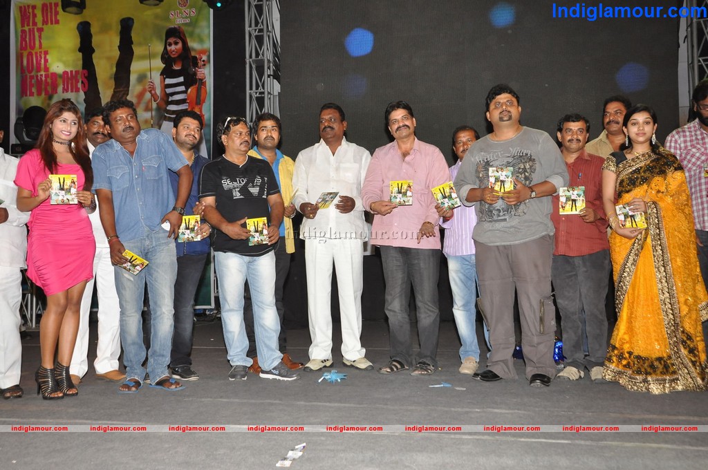 Nenu Chala Worst Audio Launch Event hd photo