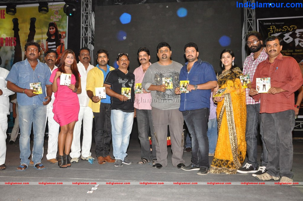 Nenu Chala Worst Audio Launch Event hd photo