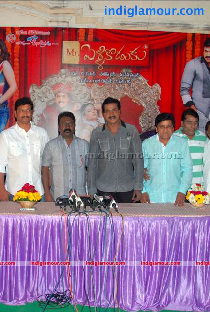 Mr Pellikoduku Success Meet Event hd photo