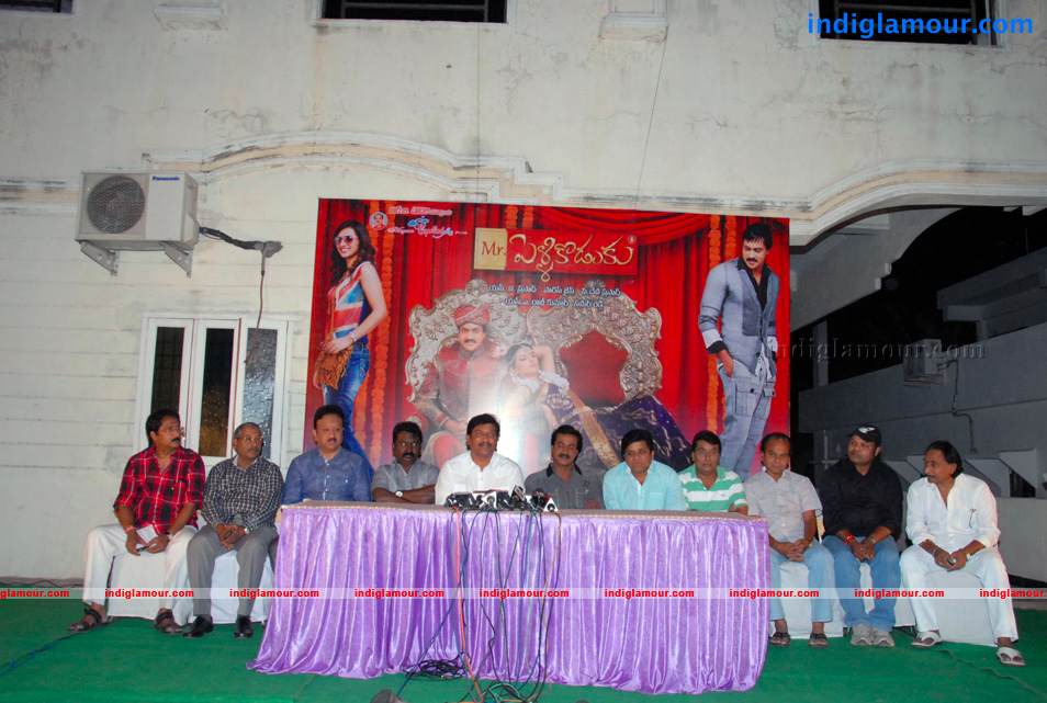 Mr Pellikoduku Success Meet Event hd photo