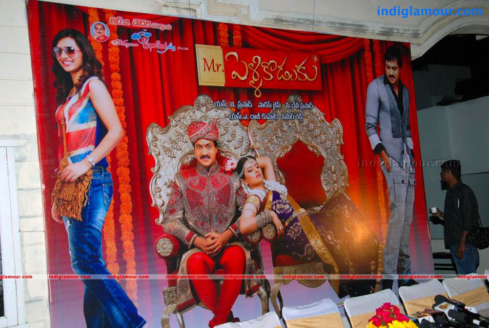 Mr Pellikoduku Success Meet Event hd photo