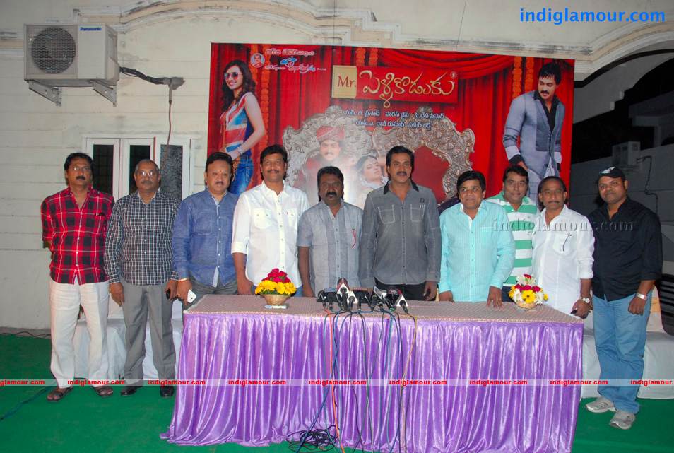 Mr Pellikoduku Success Meet Event hd photo