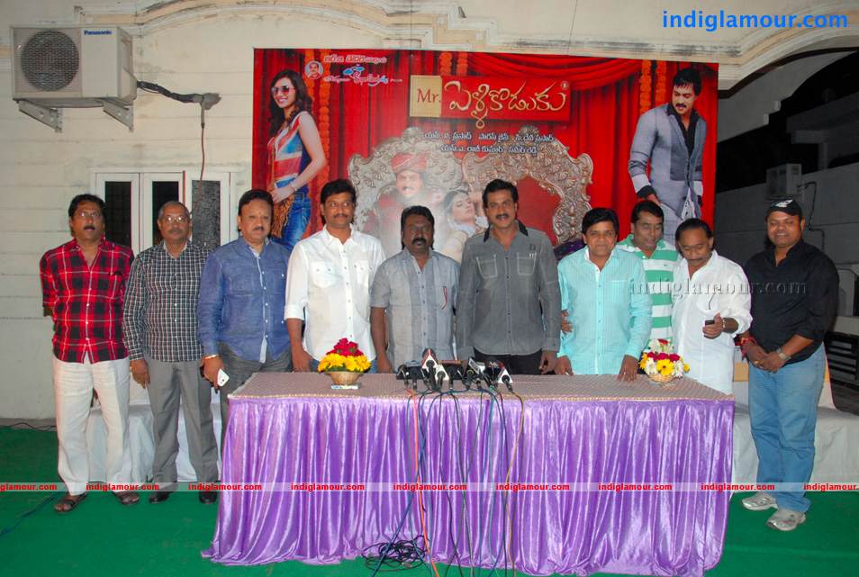 Mr Pellikoduku Success Meet Event hd photo