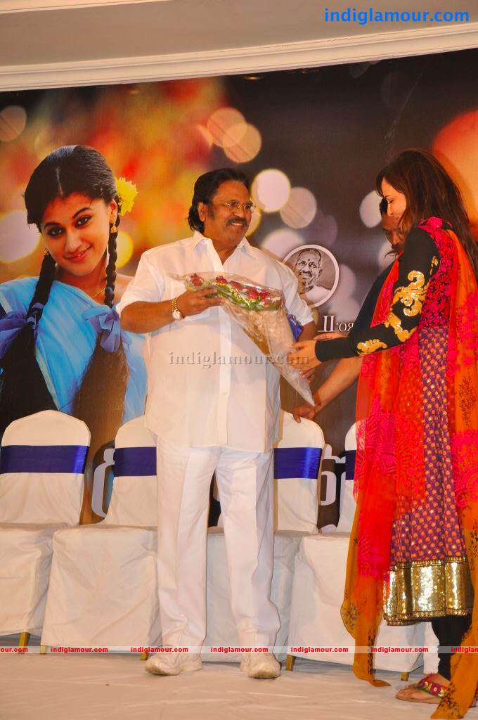 Gundello Godari Movie Platinum Disc Function Event hd photo