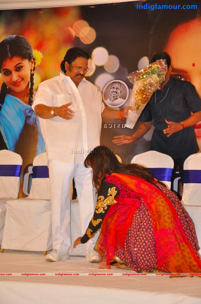Gundello Godari Movie Platinum Disc Function Event hd photo