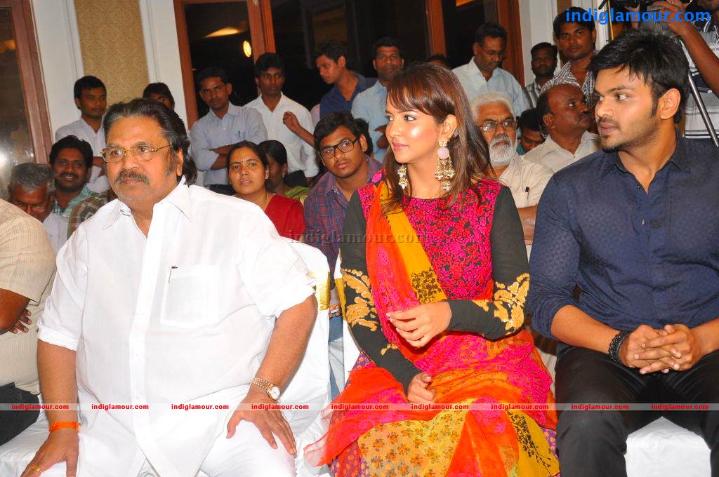 Gundello Godari Movie Platinum Disc Function Event hd photo