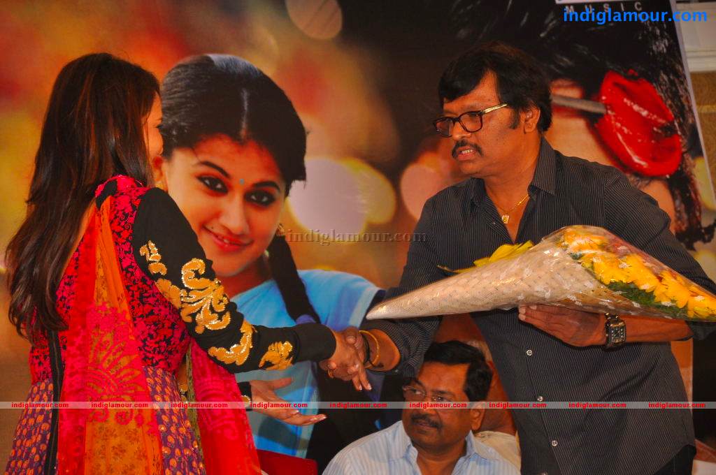 Gundello Godari Movie Platinum Disc Function Event hd photo