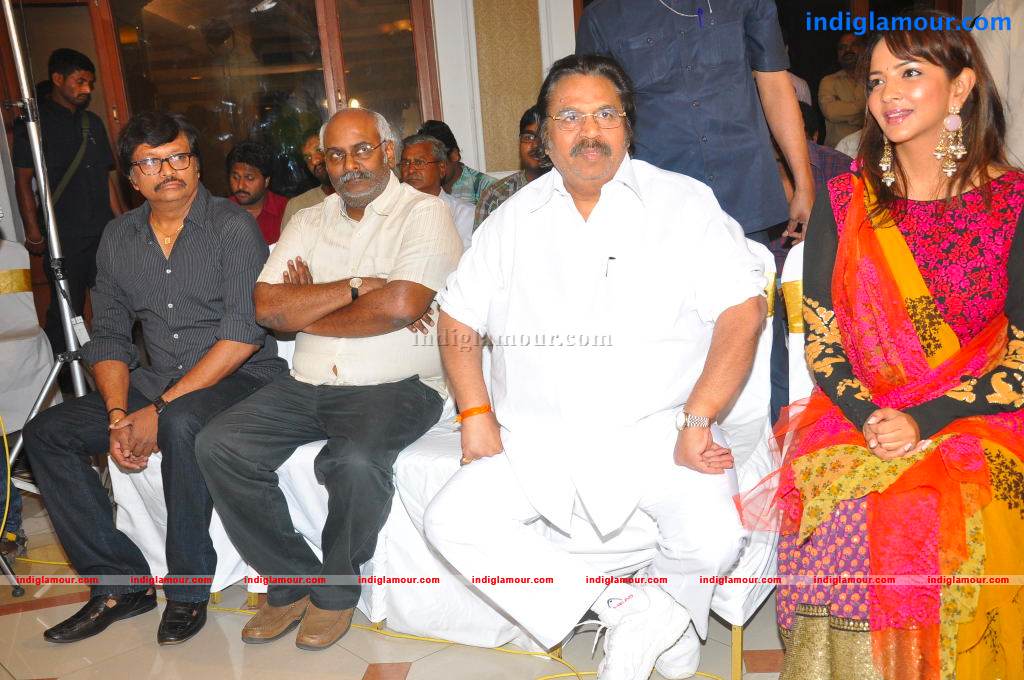 Gundello Godari Movie Platinum Disc Function Event hd photo