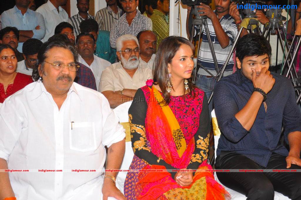 Gundello Godari Movie Platinum Disc Function Event hd photo