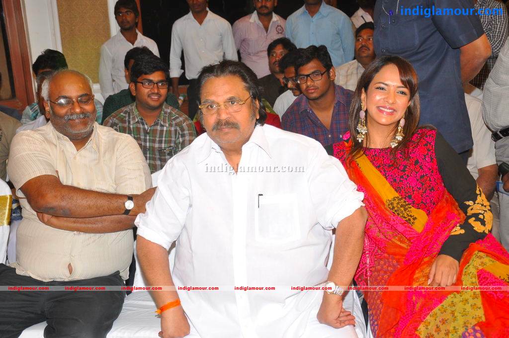 Gundello Godari Movie Platinum Disc Function Event hd photo