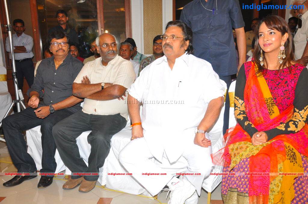 Gundello Godari Movie Platinum Disc Function Event hd photo