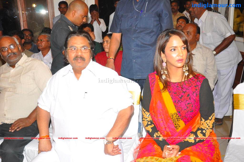 Gundello Godari Movie Platinum Disc Function Event hd photo