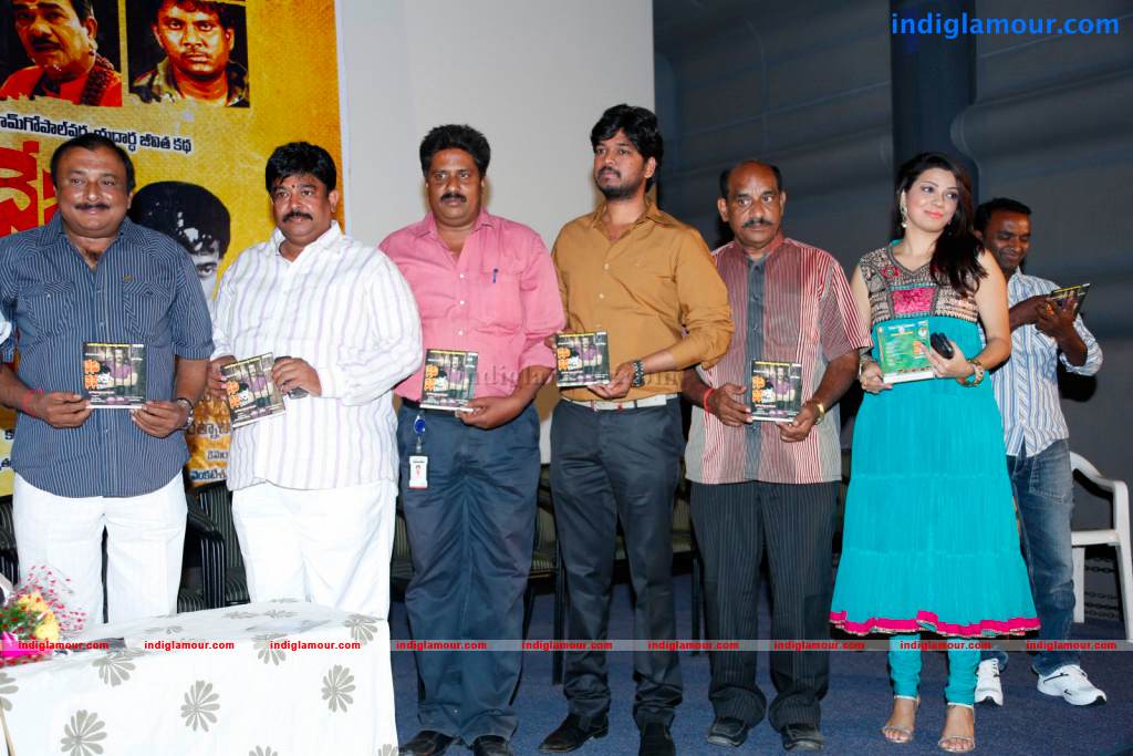 Nenu Nene Ramune Movie Audio Launch Event hd photo