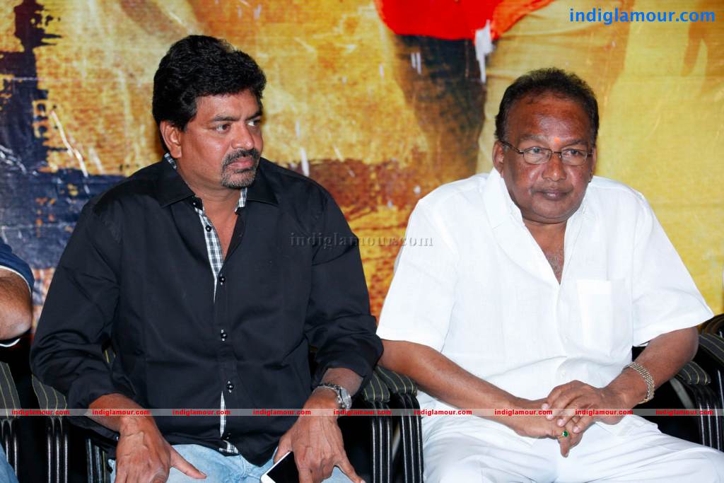 Nenu Nene Ramune Movie Audio Launch Event hd photo