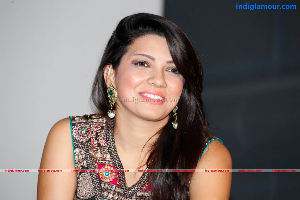 Nenu Nene Ramune Movie Audio Launch Event hd photo