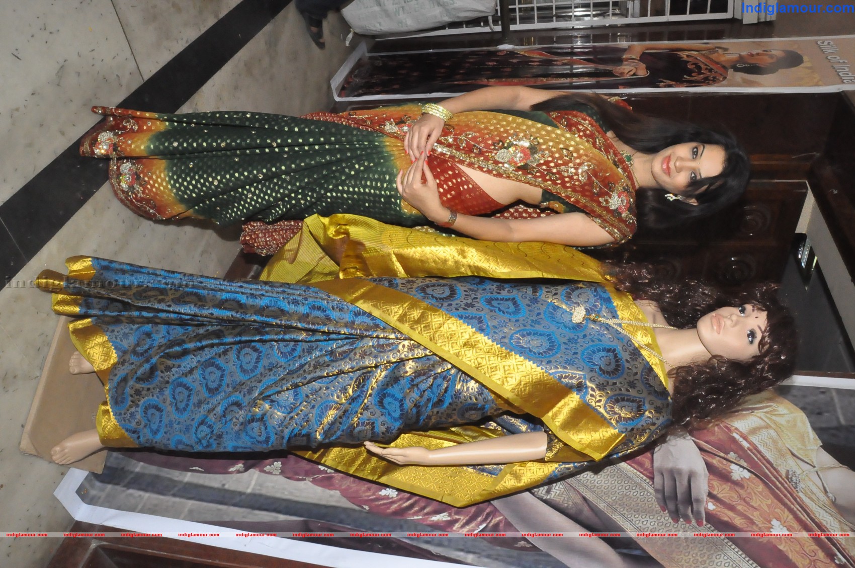 National silk and cotton Expo Press Release Event hd photo