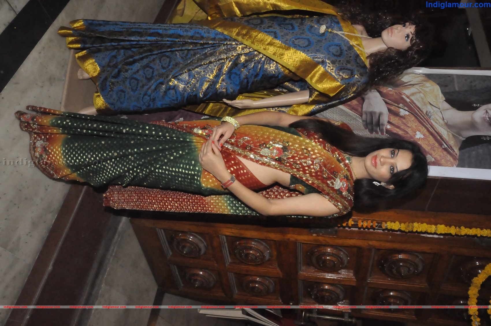 National silk and cotton Expo Press Release Event hd photo