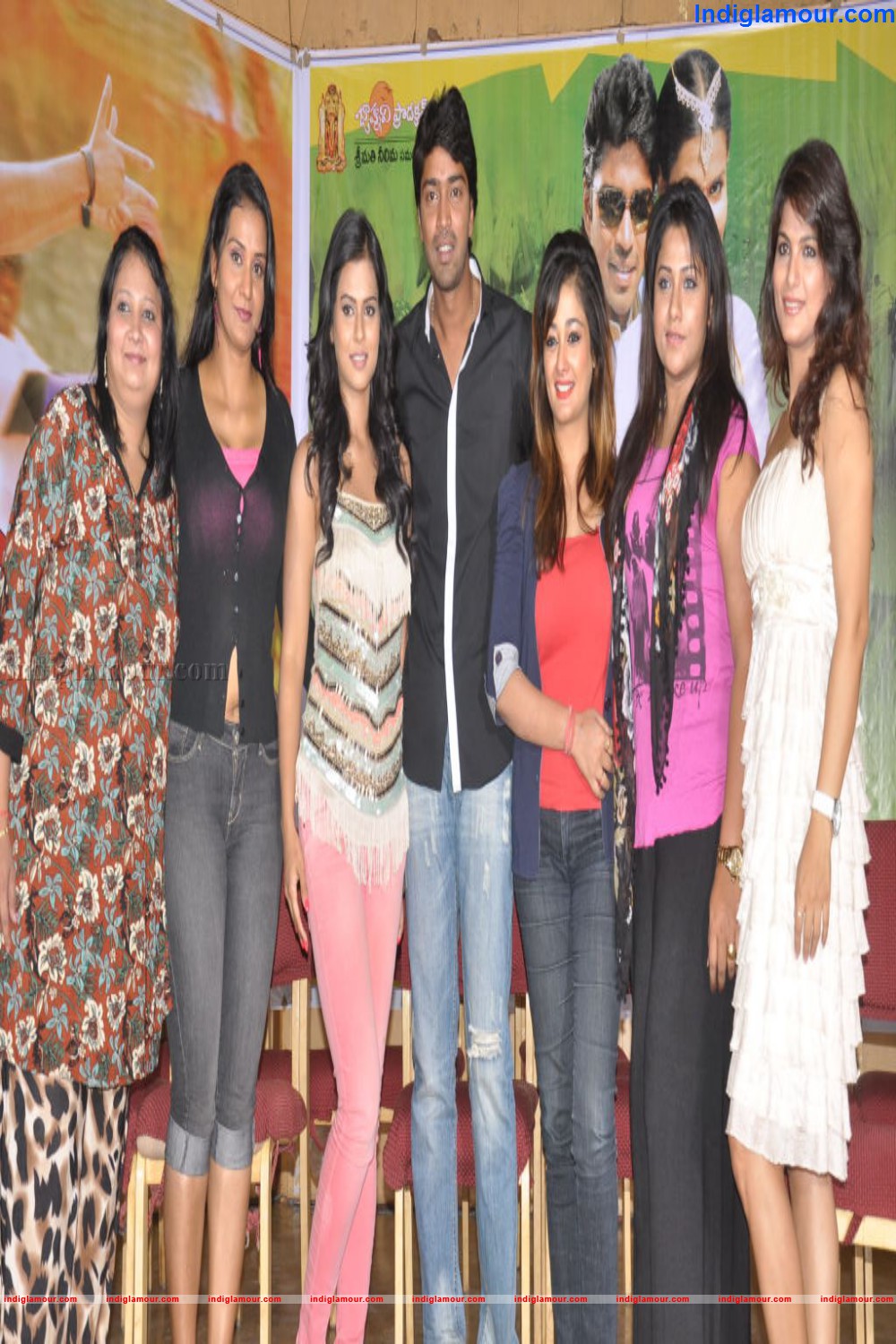 Kevvu Kela Movie Press Meet Event hd photo