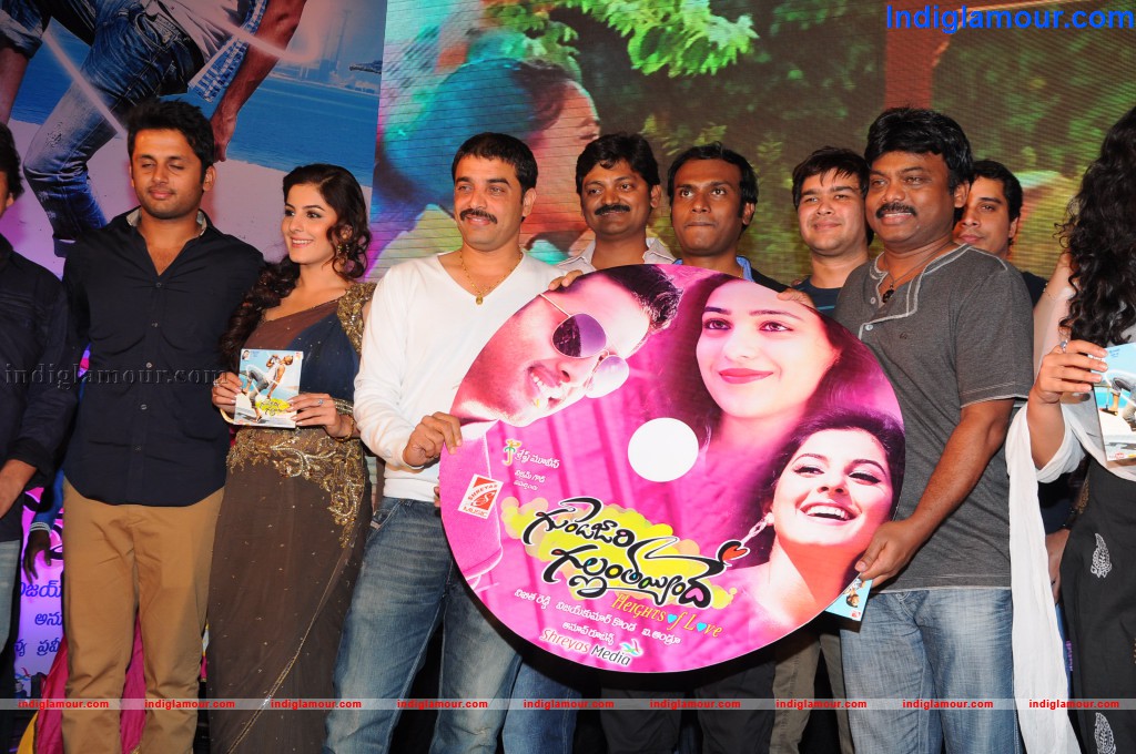Gunde Jaari Gallanthayyinde Audio Launch Event hd photo