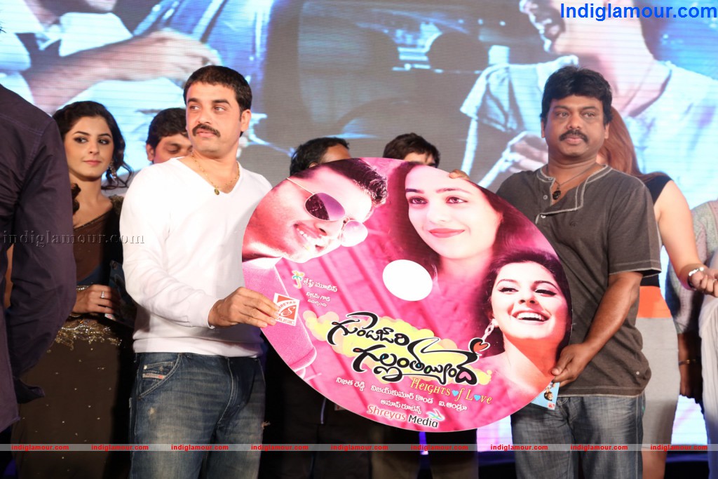 Gunde Jaari Gallanthayyinde Audio Launch Event hd photo