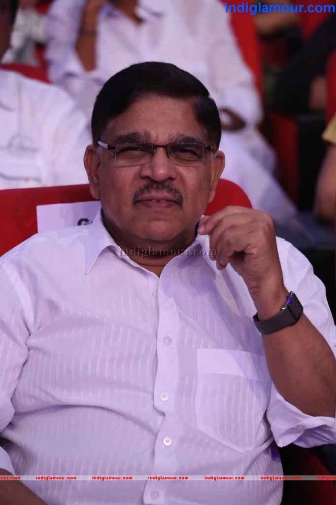 Iddarammayilatho Audio Launch Event hd photo