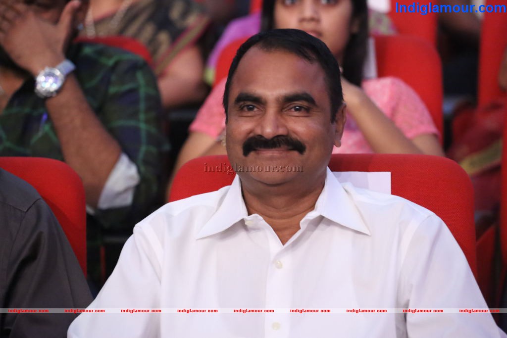 Iddarammayilatho Audio Launch Event hd photo