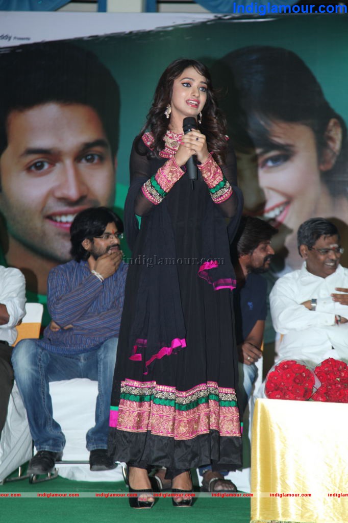 Entha Andanga Unnave Audio Launch Event hd photo