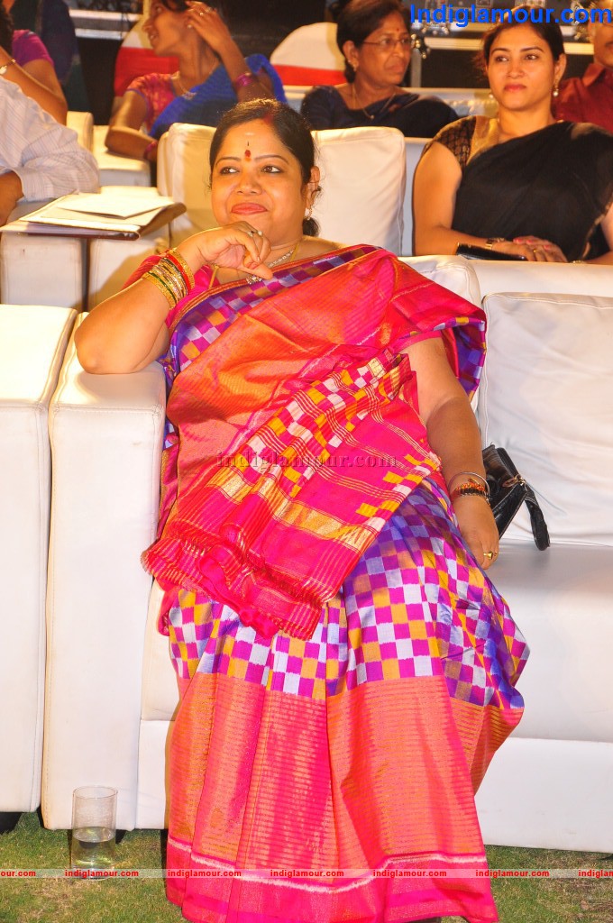 Santoor Spoorthi Awards 2013 Event hd photo
