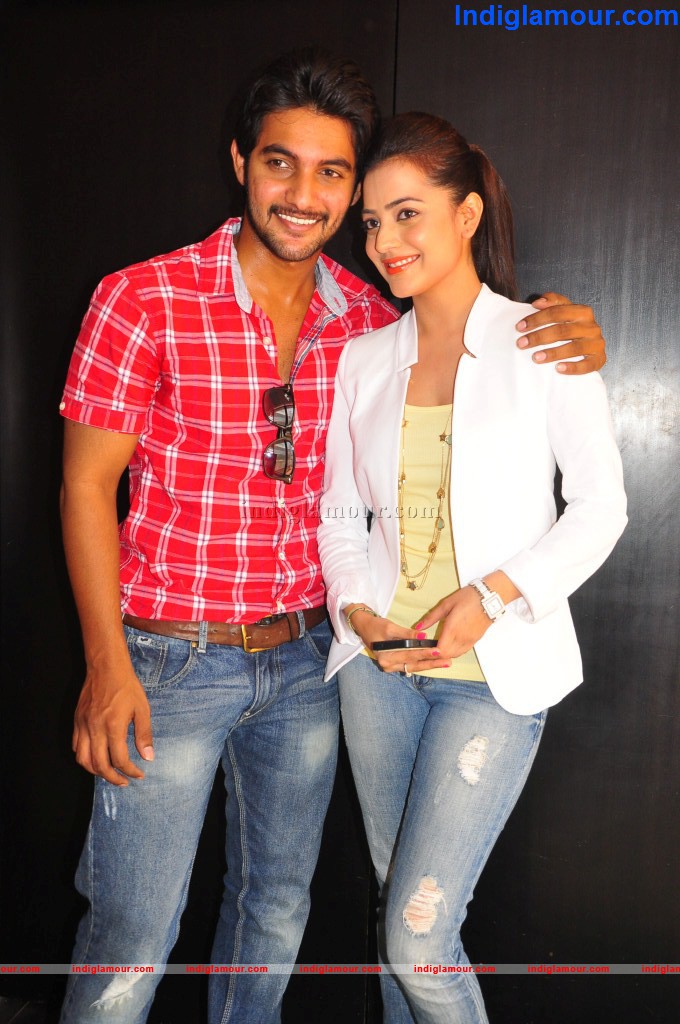Sukumarudu Movie Audio Success Meet Event hd photo