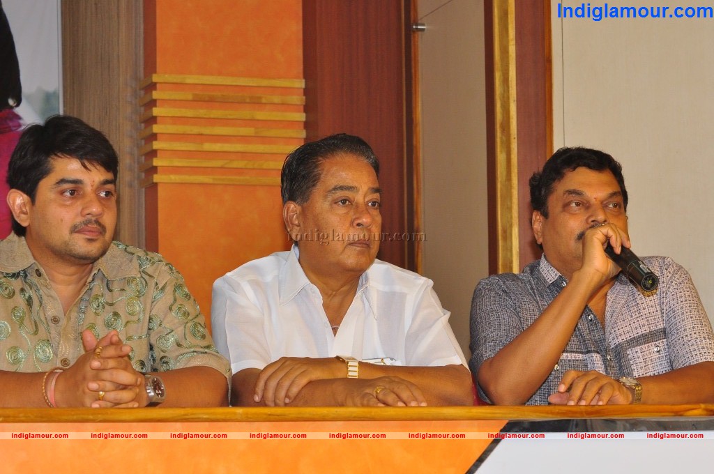 Sukumarudu Movie Audio Success Meet Event hd photo