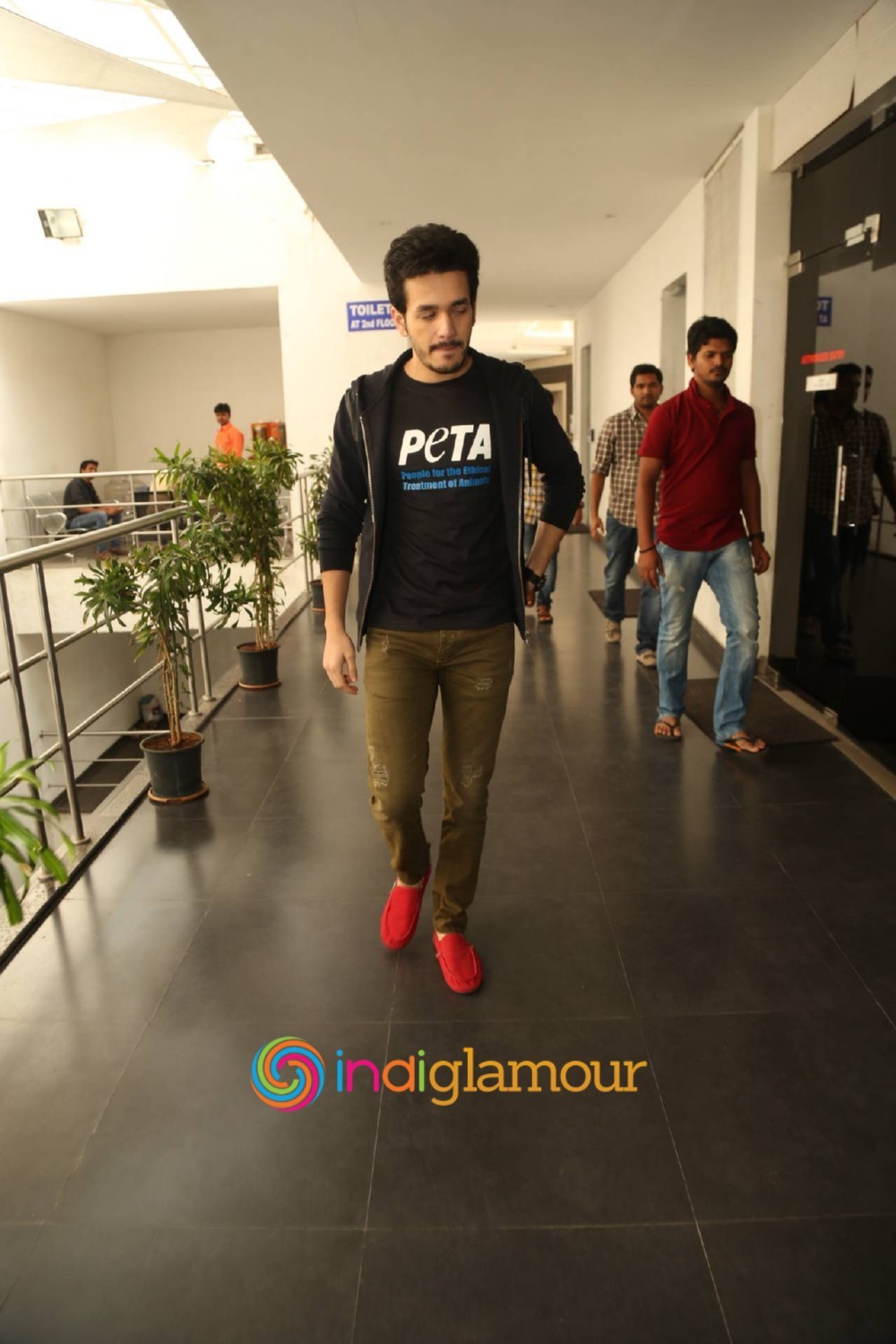 Akhil at PETA Event Event hd photo
