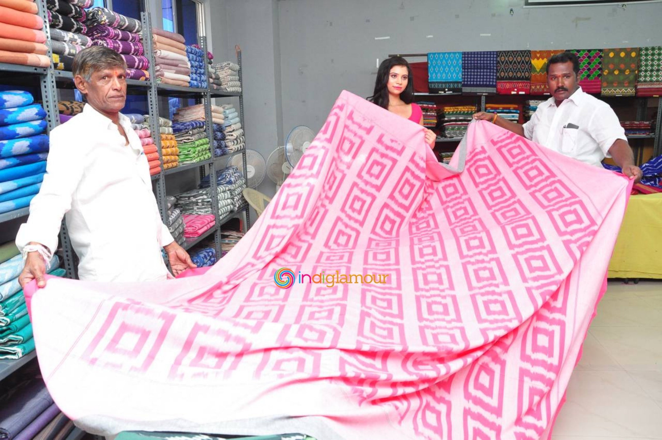 Pochampally IKat Art Mela Launch Event Event hd photo