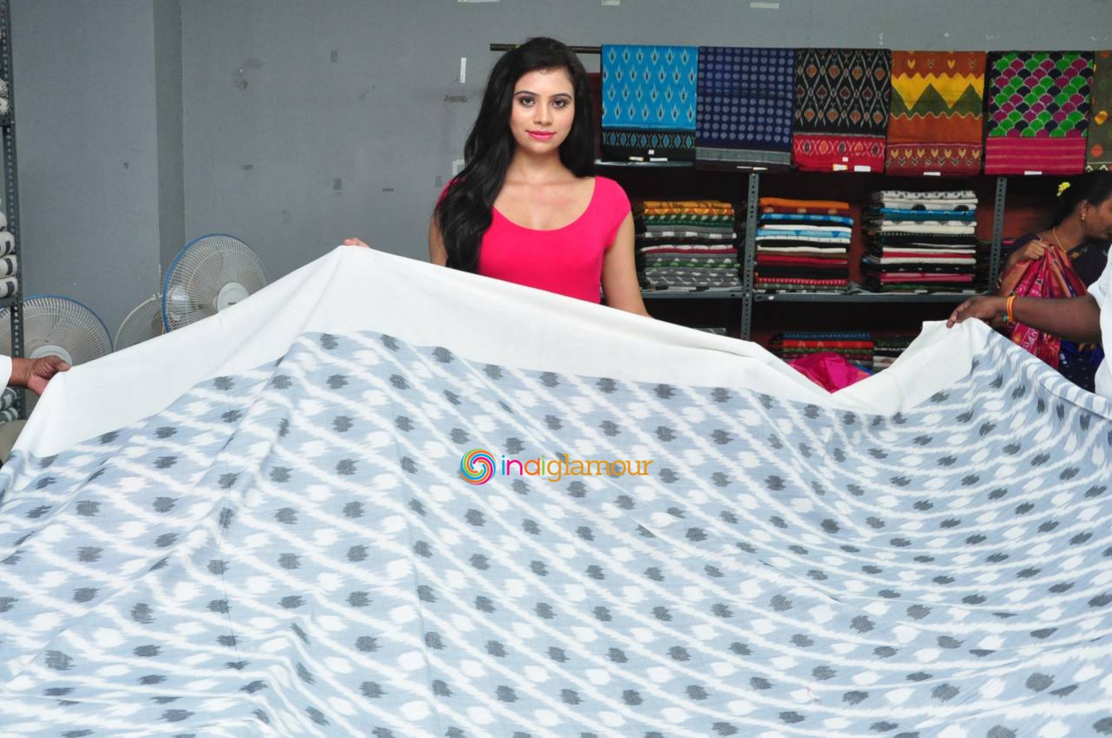 Pochampally IKat Art Mela Launch Event Event hd photo