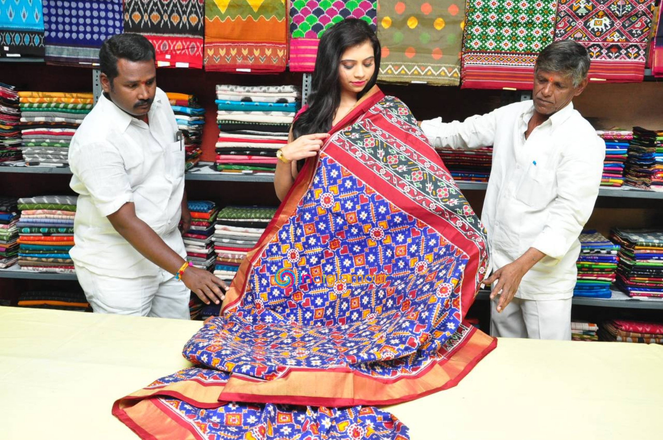 Pochampally IKat Art Mela Launch Event Event hd photo