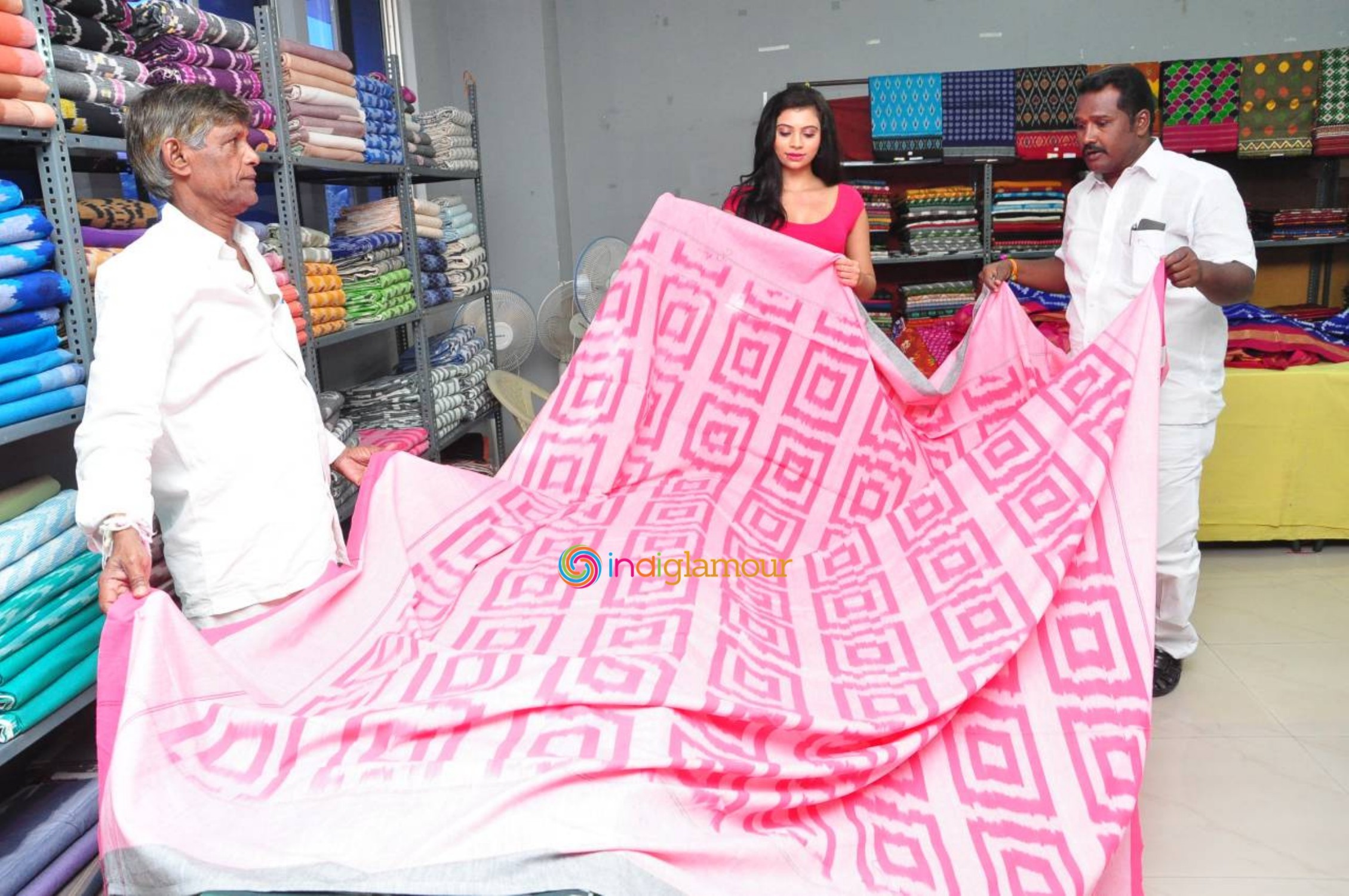 Pochampally IKat Art Mela Launch Event Event hd photo