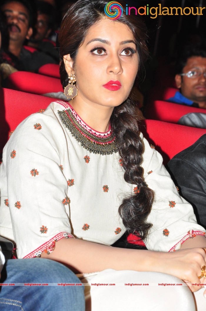 Supreme Movie Audio Launch Event hd photo
