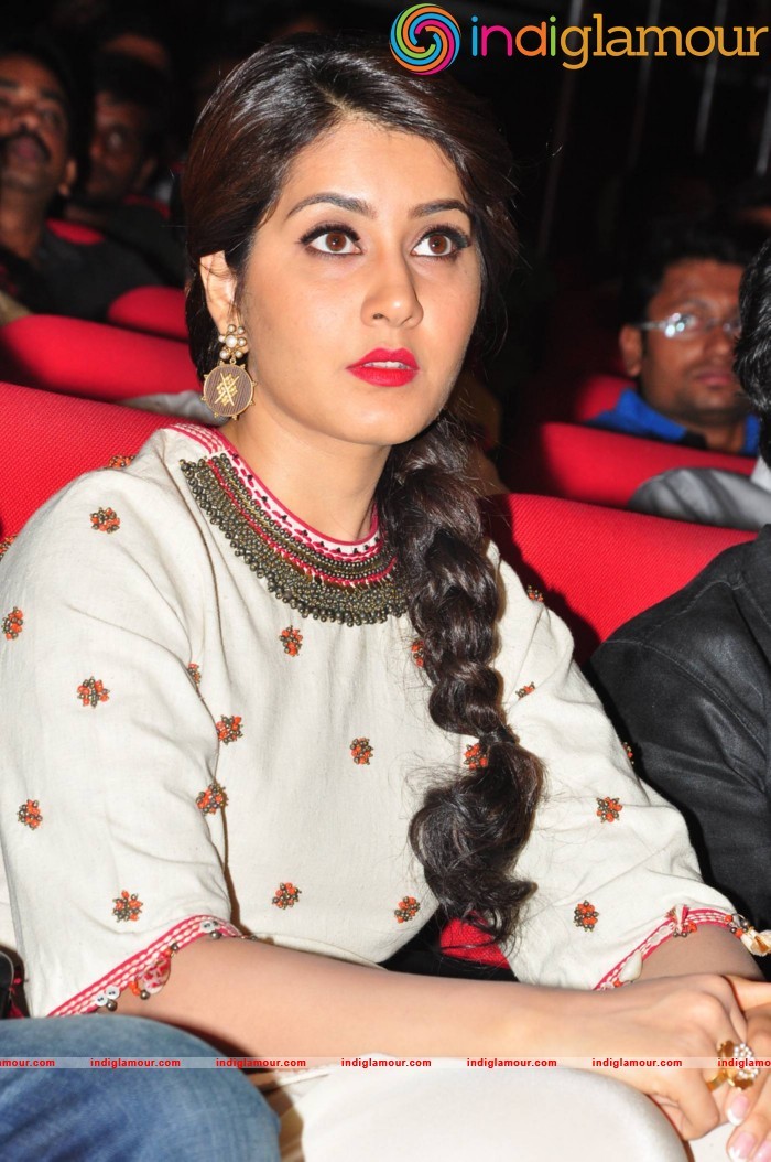 Supreme Movie Audio Launch Event hd photo