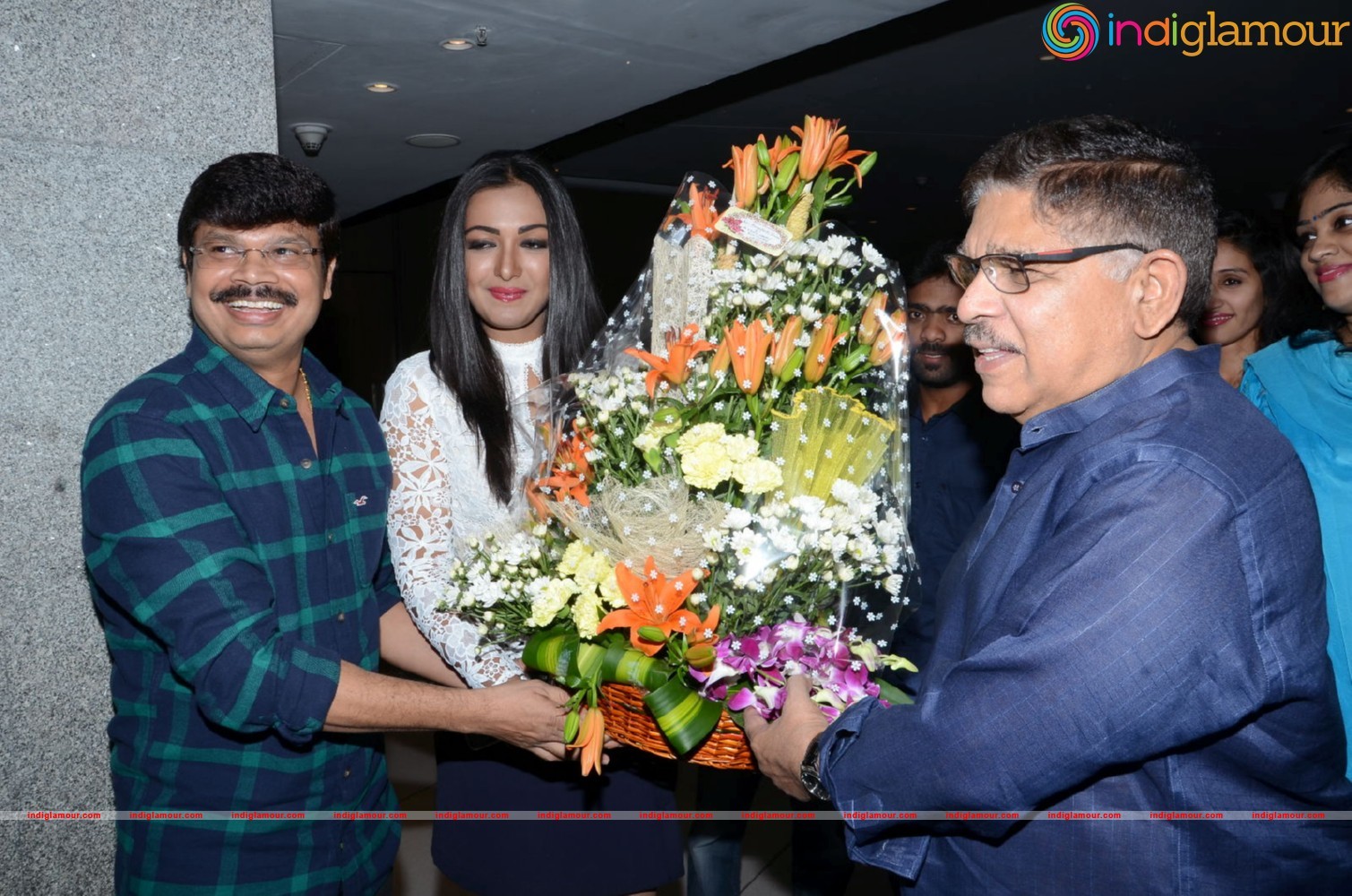 Sarrainodu Movie Succesmeet Photo Gallery Event hd photo