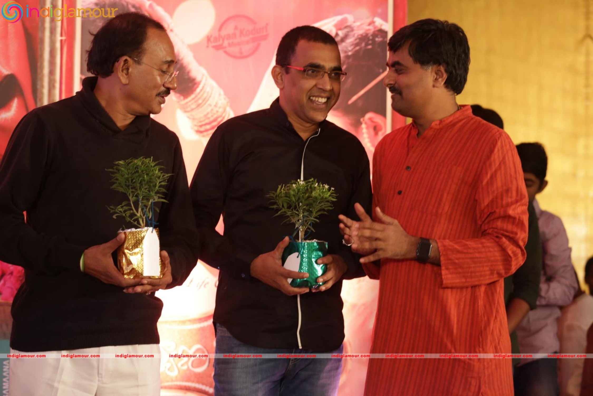 Kalyana Vaibhogame Audio Launch Event hd photo