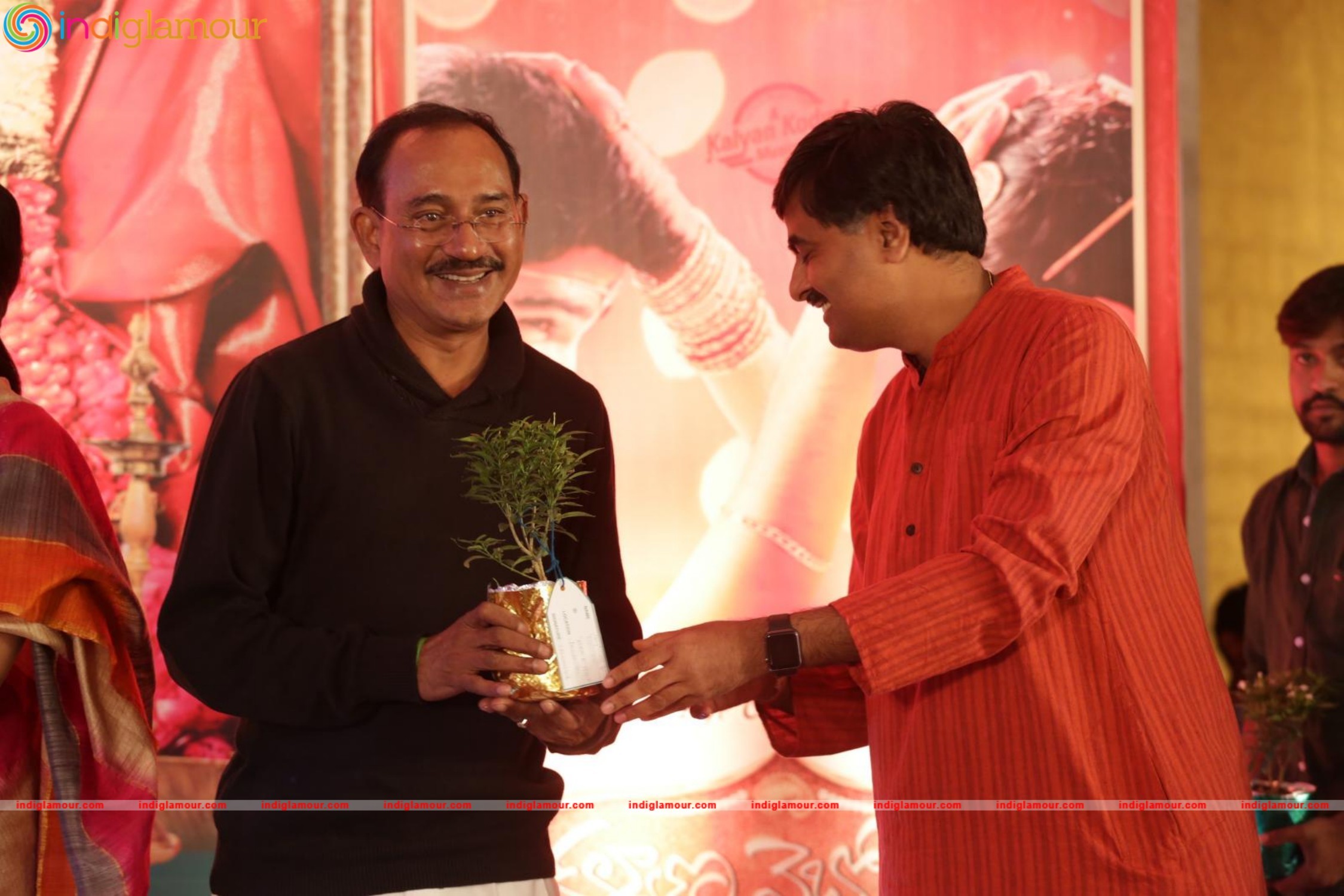 Kalyana Vaibhogame Audio Launch Event hd photo